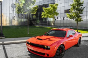 开云娱乐-波兰队赛制解析：如何通过灵活的阵容布置提高比赛优势，波兰队 阵容