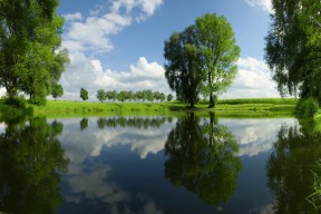 开云官网在线-法甲新时代：年轻力量冲刺未来！，法甲最年轻进球