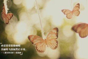 开云竞猜官网-运动员心理健康维护,运动员心理健康的重要性