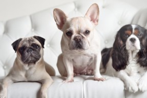 开云官网登录-五大联赛中场争夺激烈程度是否决定观赏性高低，五大联赛场地大小