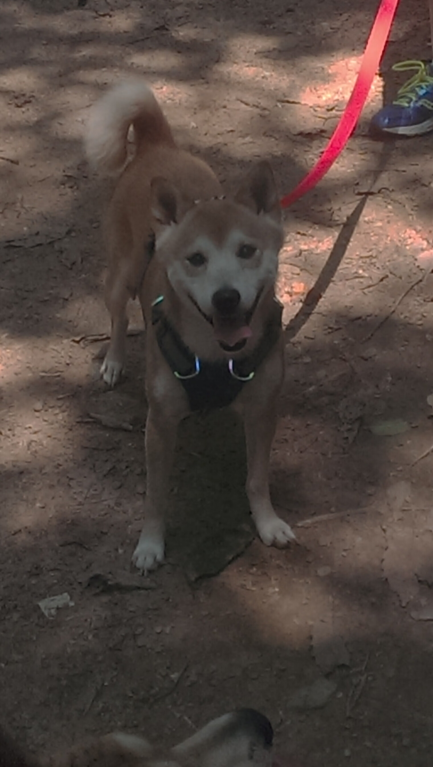 俱乐部运营模式亟需多元化转型，俱乐部的运营与管理