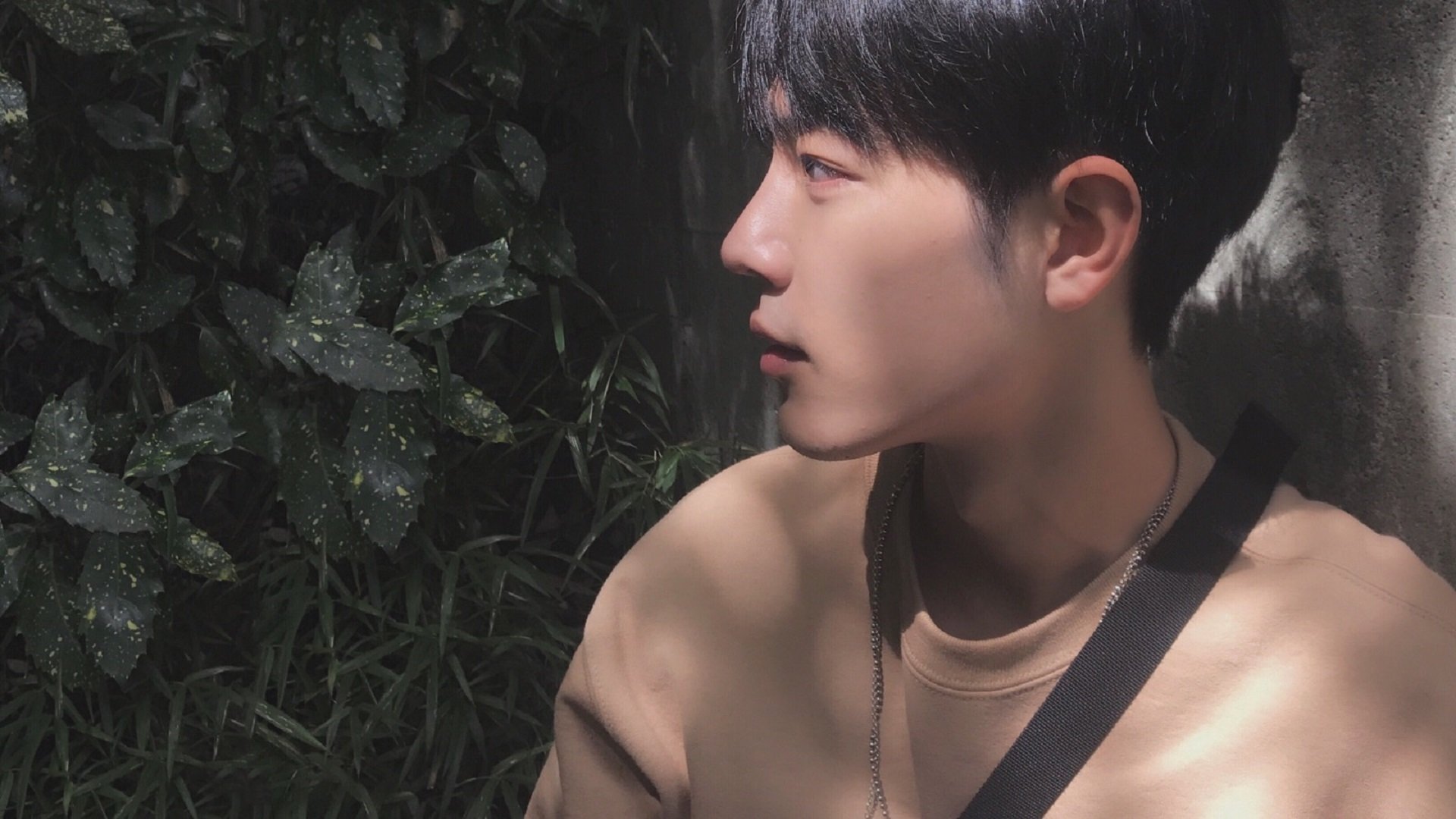 新月阵容汇聚坎塞洛、库利巴利、内维斯