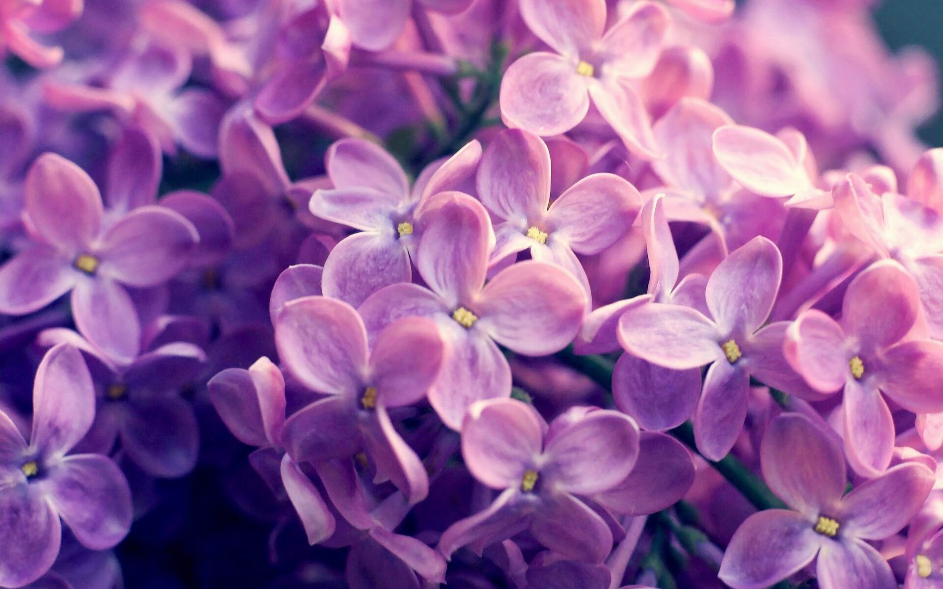 花样滑冰服装安全系数纳入评分参考，花样滑冰服装面料
